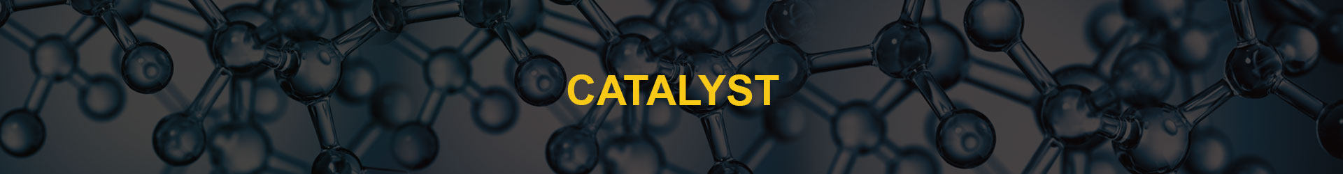 Catalyst Division - Maurya Group, Kolhapur